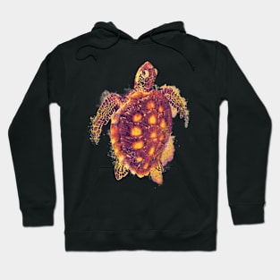 Turtle Hoodie